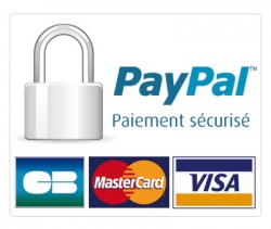 acheter le roman par Paypal